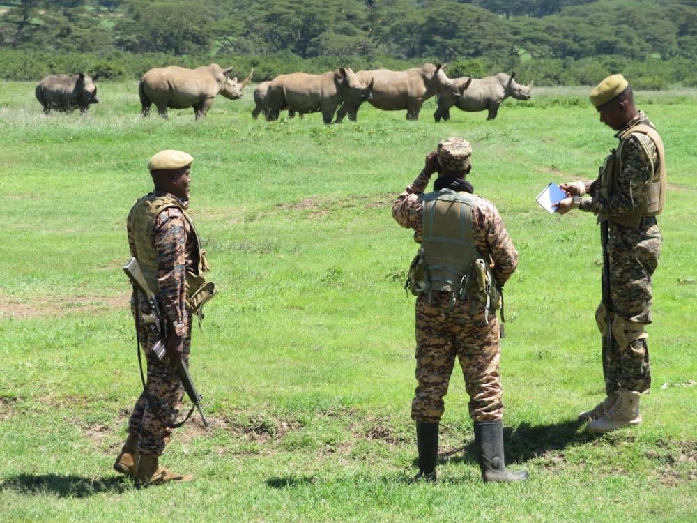 Rhino monitoring identification _credit Solio Ranch (1)